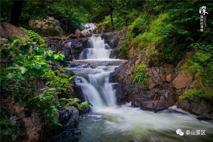 宝可梦探险寻宝